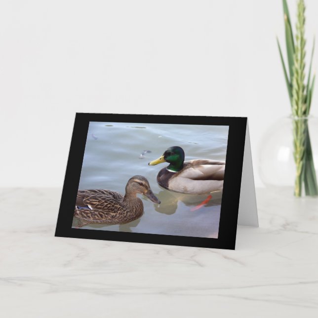 Canards sur une carte d'étang (Devant)