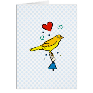 Canari de Careena