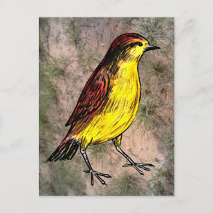 Canary Bird Postcard