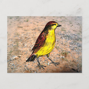 Canary Bird Postcard