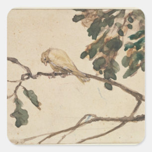 Canary on an Oak Tree Branch Square Sticker