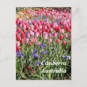 Canberra Australia postcard