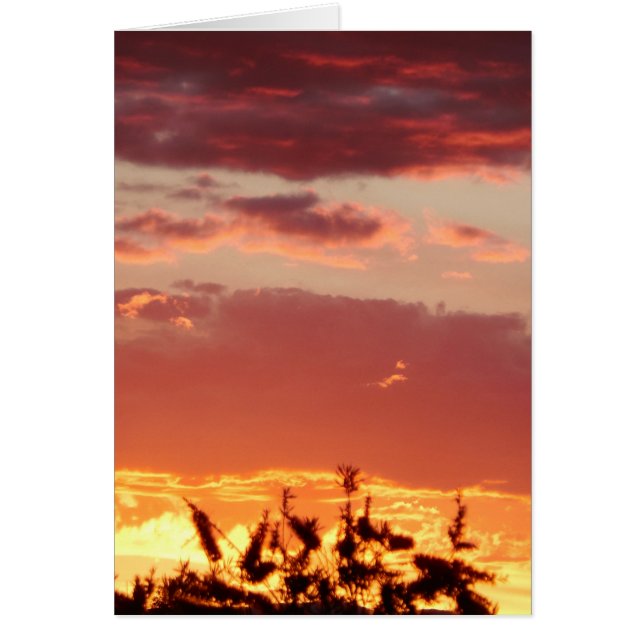 Canberra, Australia sunset. (Front)