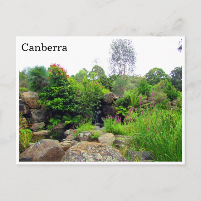 canberra botanic gardens postcard (Front)