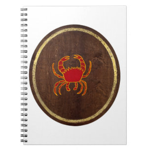 Cancer 2009 notebook