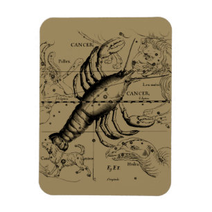 Cancer Constellation by Hevelius circa 1690 Magnet