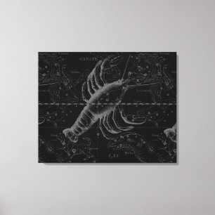 Cancer Constellation Hevelius 1690 Decor