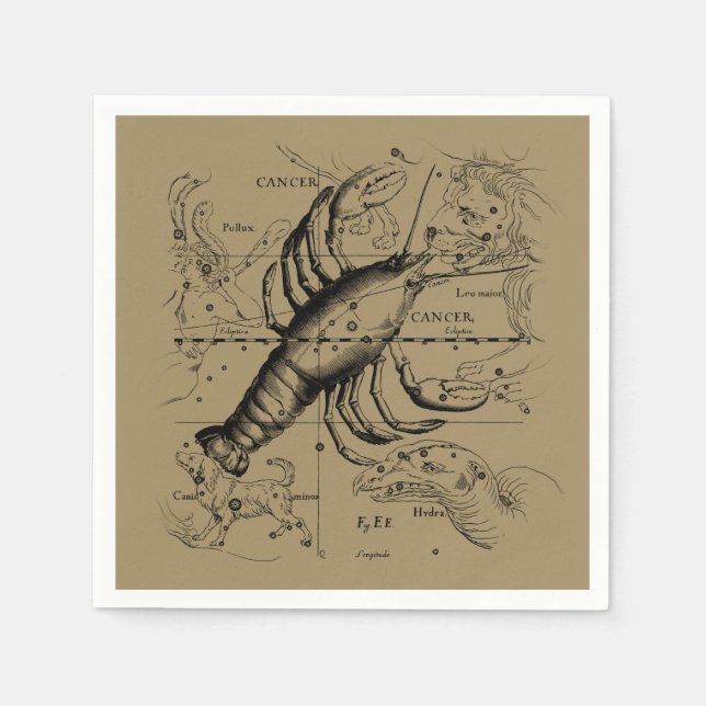 Cancer Constellation Hevelius 1690 Engaving Napkin (Front)