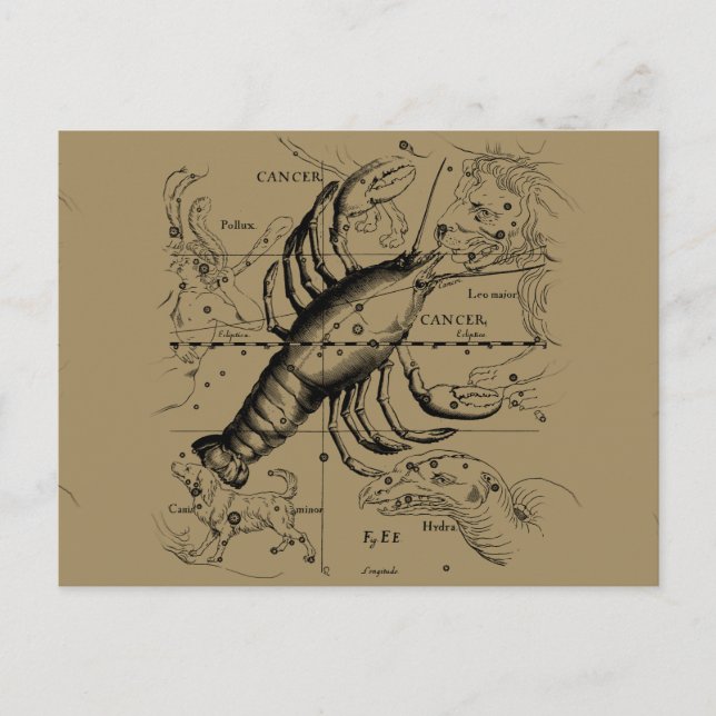Cancer Constellation Hevelius 1690 Engaving Postcard (Front)