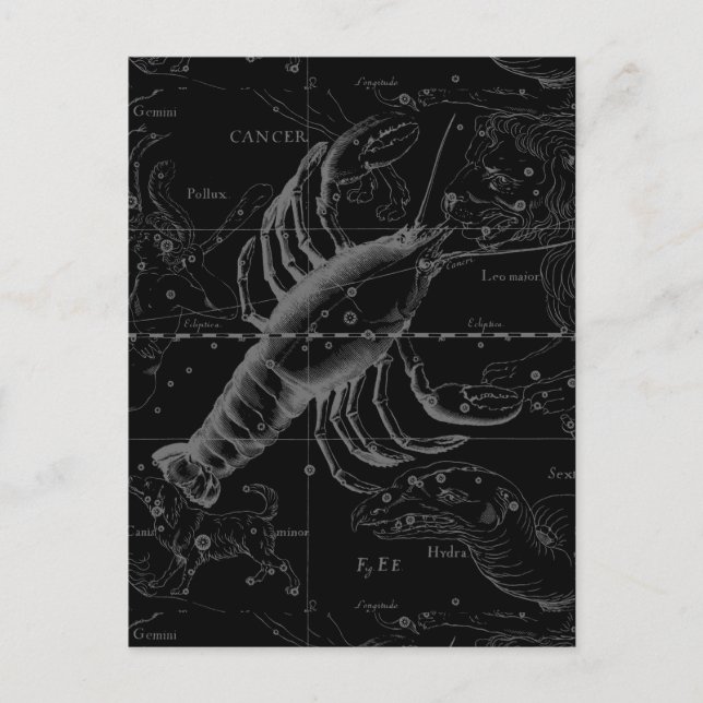 Cancer Constellation Hevelius 1690 on Black Postcard (Front)