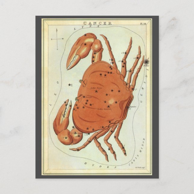 Cancer Crab Vintage Constellation, Urania's Mirror Postcard (Front)