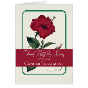 Cancer Feel Better, Red Hibiscus Flower, Religious