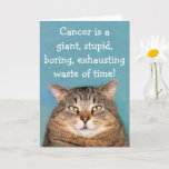 Cancer Is Stupid Funny Encouragement Card<br><div class="desc">Send some laughs and encouragement to a cancer patient with this funny cat card. Personalize the messages to express your own special compassion. Thanks very much for looking! Photo ©Christine Greenspan</div>