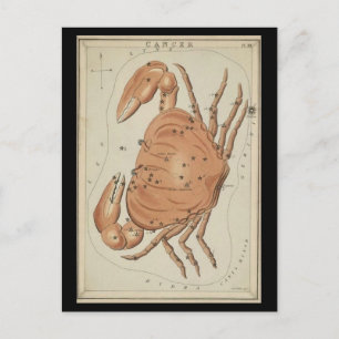 Cancer the Crab Postcard