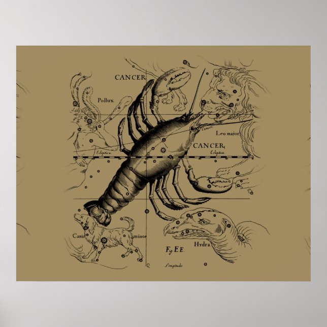 Cancer Zodiac Constellation by Hevelius 1690 Poster (Front)