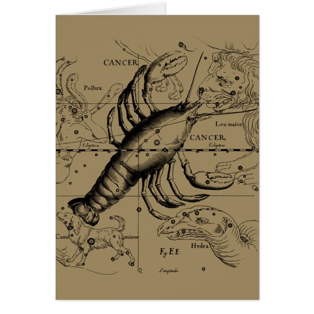 Cancer Zodiac Constellation par Hevelius 1690 (Devant)