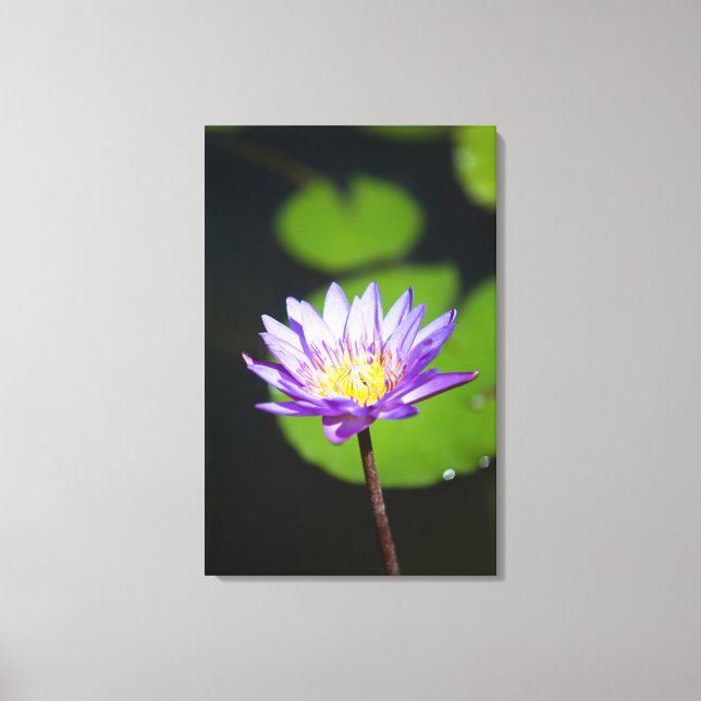 Cancun, Mexico Canvas Print (Front)