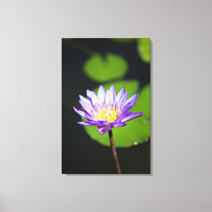 Cancun, Mexico Canvas Print