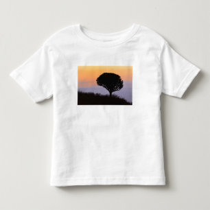 Candelabra Tree silhouetted at sunrise, Toddler T-shirt