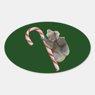 Candy Cane Australian Koala Bears Oval Sticker