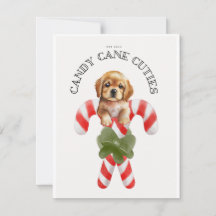 Candy Cane Cuties Dog 
