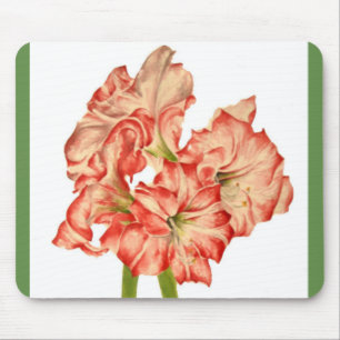 Candy Cane Lilies on a Mouse Pad