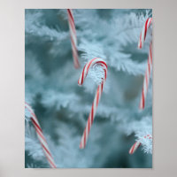 Candy Cane on Tree