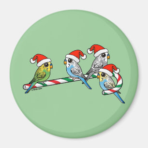 Candy Cane Santa Budgies Magnet
