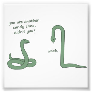 Candy Cane Snake Photo Print