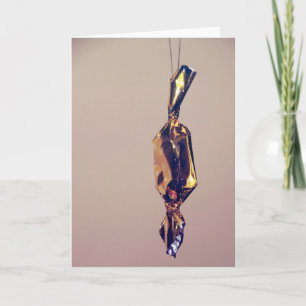 Candy Christmas tree decoration Holiday Card