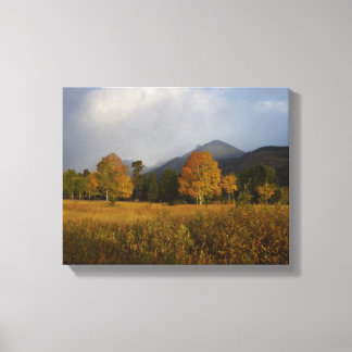Candy Colors of Rocky Mountain National Park Canvas Print