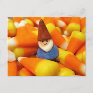 Candy Corn Gnome Postcard