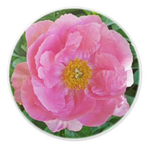 CANDY-PINK PEONY CERAMIC KNOB