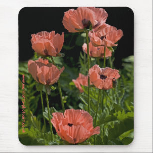 Candy Pops Mousemat Mouse Pad