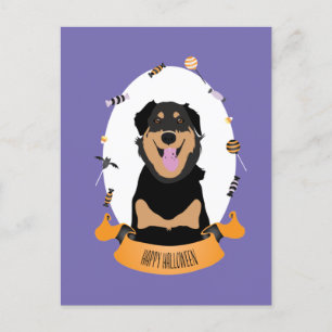 Candy Portrait Rottweiler Dog Purple Orange Postcard