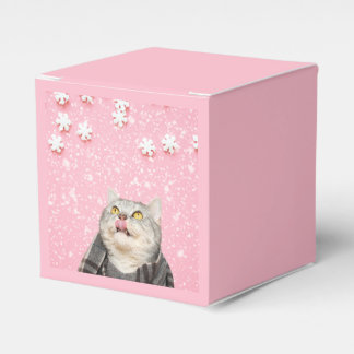 Candy Snowflake Cat Favor Box