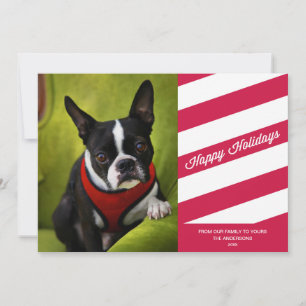 CANDY STRIPES   HOLIDAY PHOTO CARD