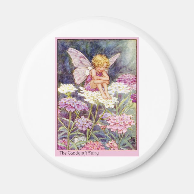 Candytuft Fairy Magnet (Front)