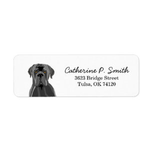 Cane Corso Adresse de retour