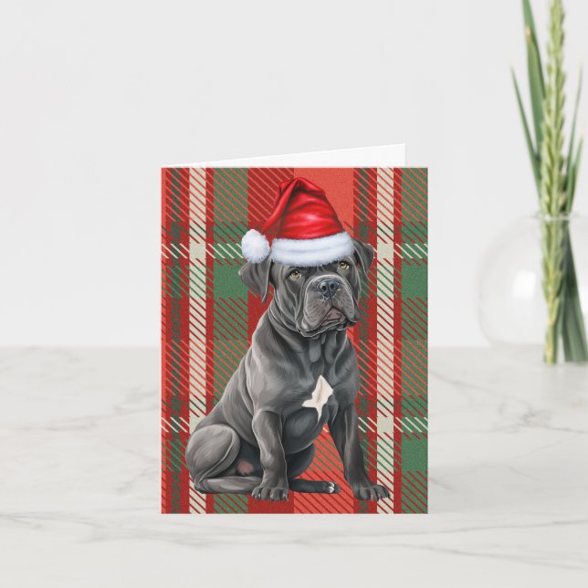 Cane Corso Christmas Dog Red Plaid Christmas Holiday Card (Front)