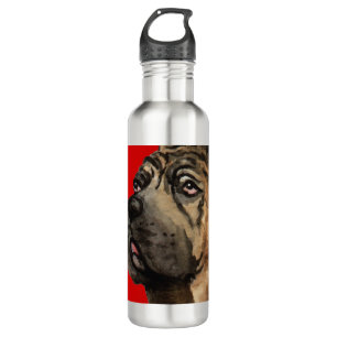 Cane Corso Colour Block 710 Ml Water Bottle