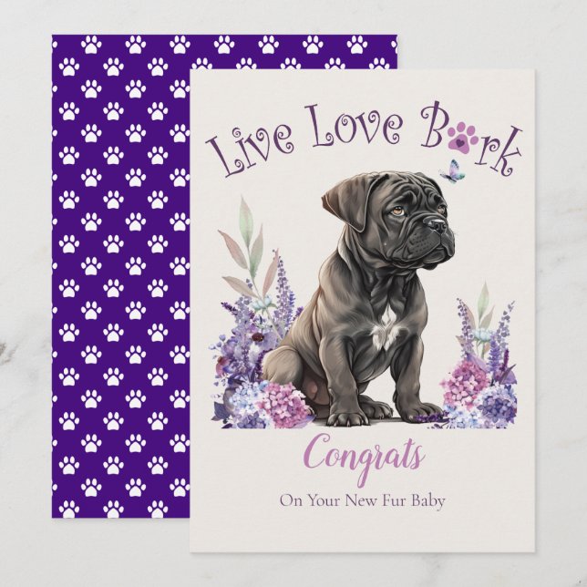 Cane Corso Dog Adoption, Gotcha Day Card (Front/Back)