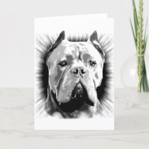 Cane Corso Dog Card