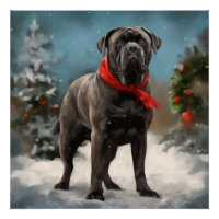 Cane Corso Dog in Snow Christmas