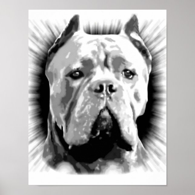 Cane Corso Dog Poster (Front)
