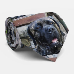 cane corso grey brindle tie