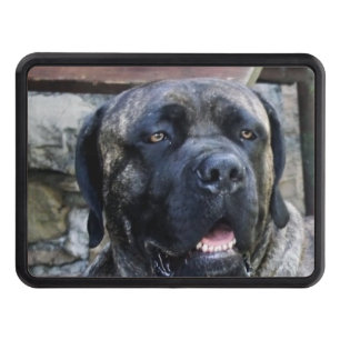 cane corso grey brindle trailer hitch cover
