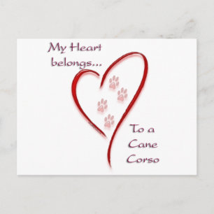 Cane Corso Heart Belongs Postcard