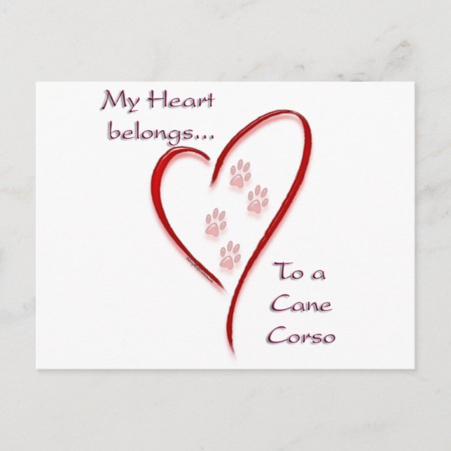 Cane Corso Heart Belongs Postcard (Front)