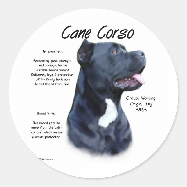 Cane Corso History  Classic Round Sticker (Front)